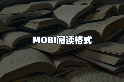 EPUB电子书